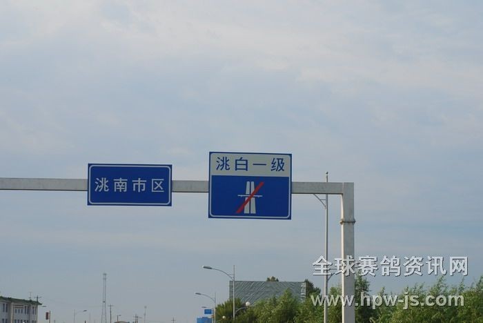 赛鸽车进去洮南市区 离目的地还有20公里