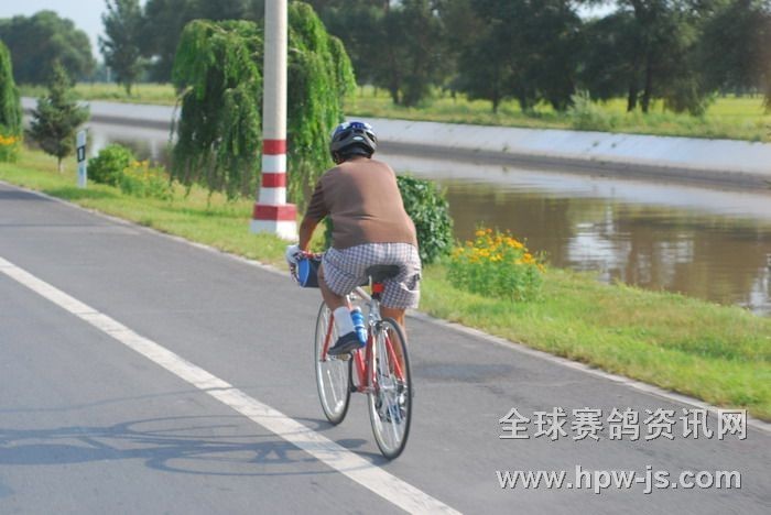咱们有信鸽协会 人家有自行车协会 瞧着老大爷 在公路上训练呢  可要注意安全呦
