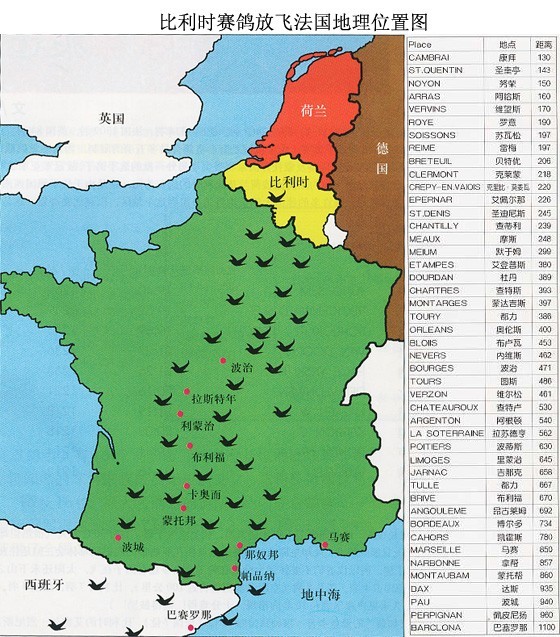 比利时赛鸽放飞法国地理位置图