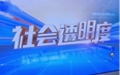 上海：信鸽比赛耍花招，两名裁判获刑